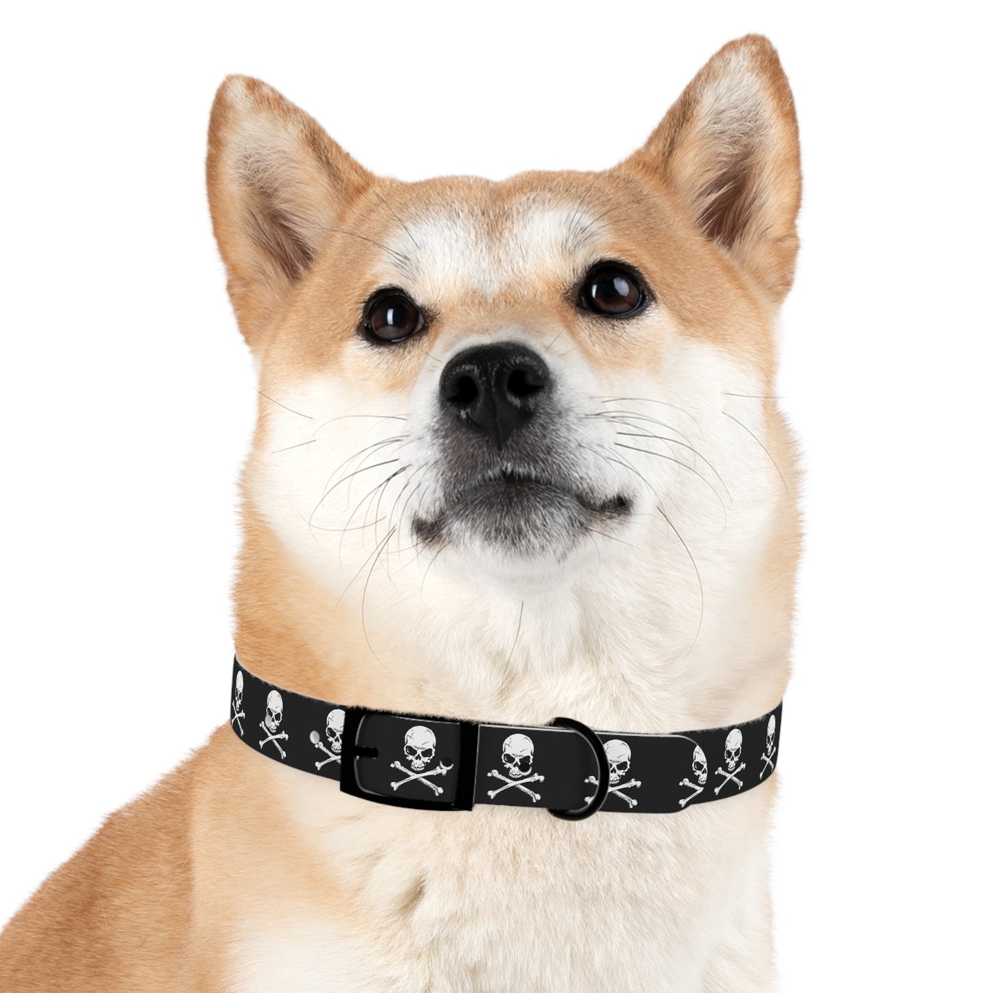 Skull & Crossbones Dog Collar