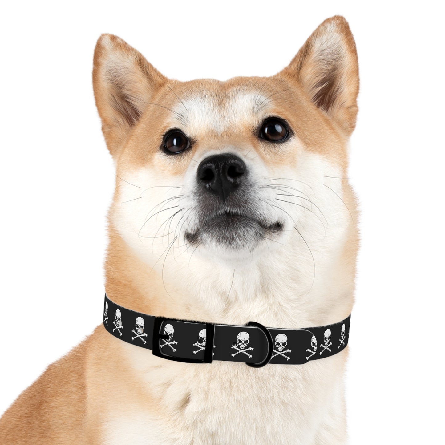 Skull & Crossbones Dog Collar