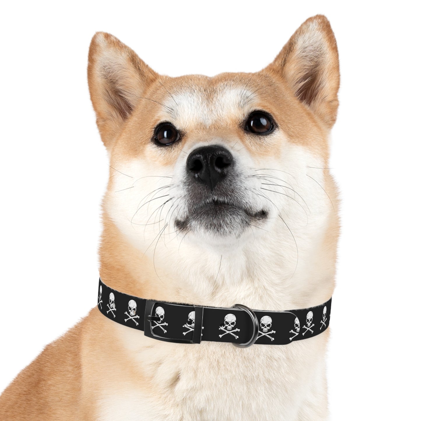 Skull & Crossbones Dog Collar