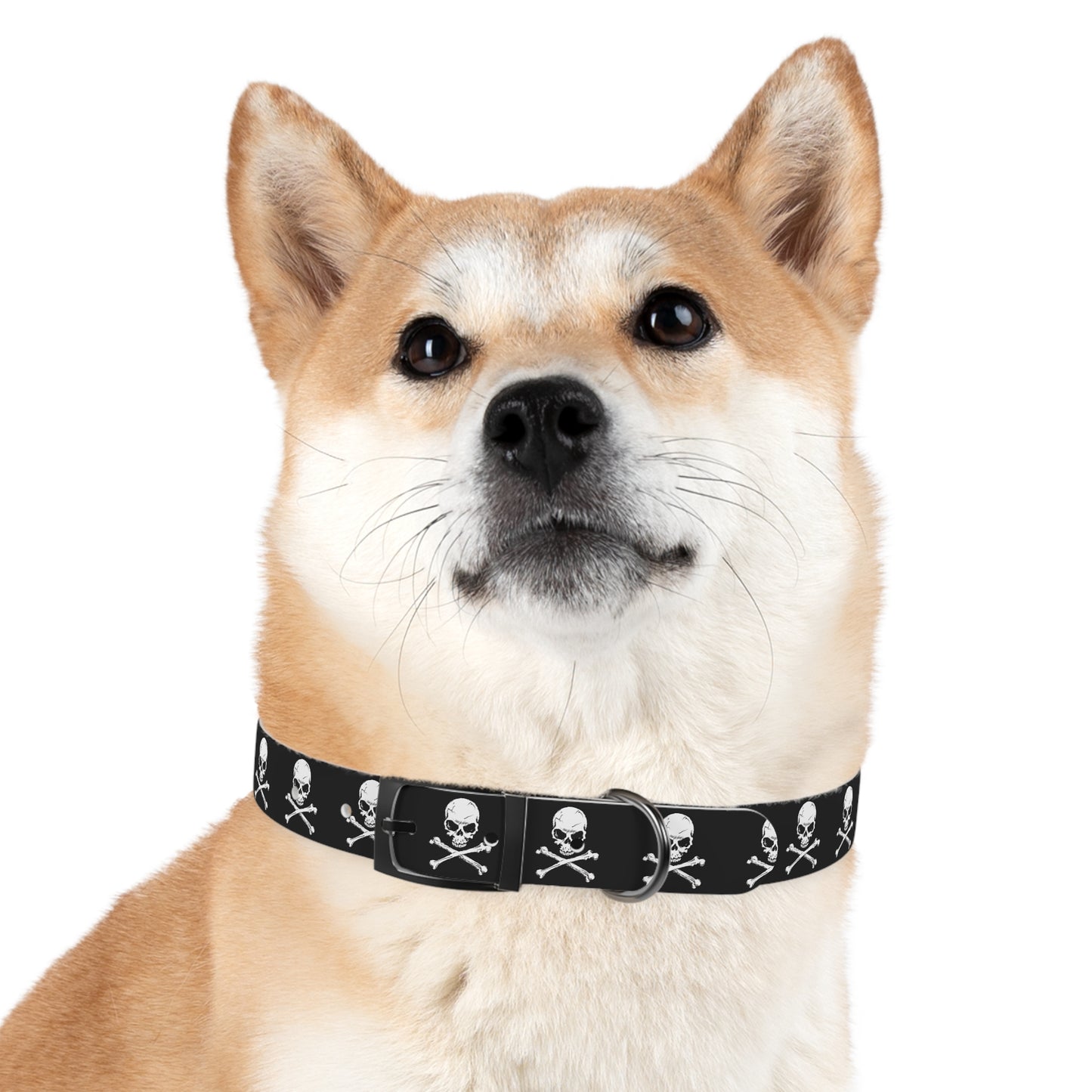 Skull & Crossbones Dog Collar